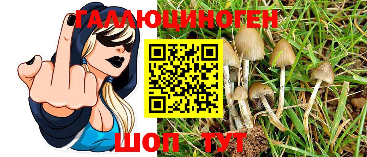 Галлюциногенные грибы Cubensis  Вход с VPN  Галлюциногенные грибы Psilocybine cubensis  закладки  Ханты-Мансийск 